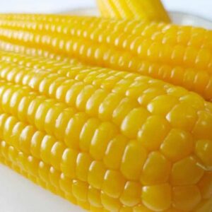 Sweet Corn